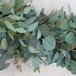 Garland - Seeded and Silver Dollar Eucalyptus 10' - Click Image to Close