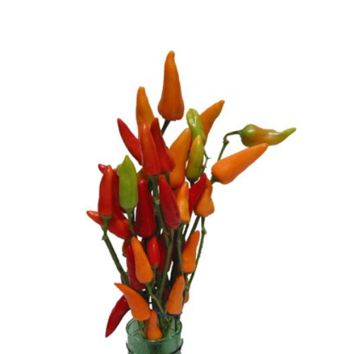(image for) Chili Peppers
