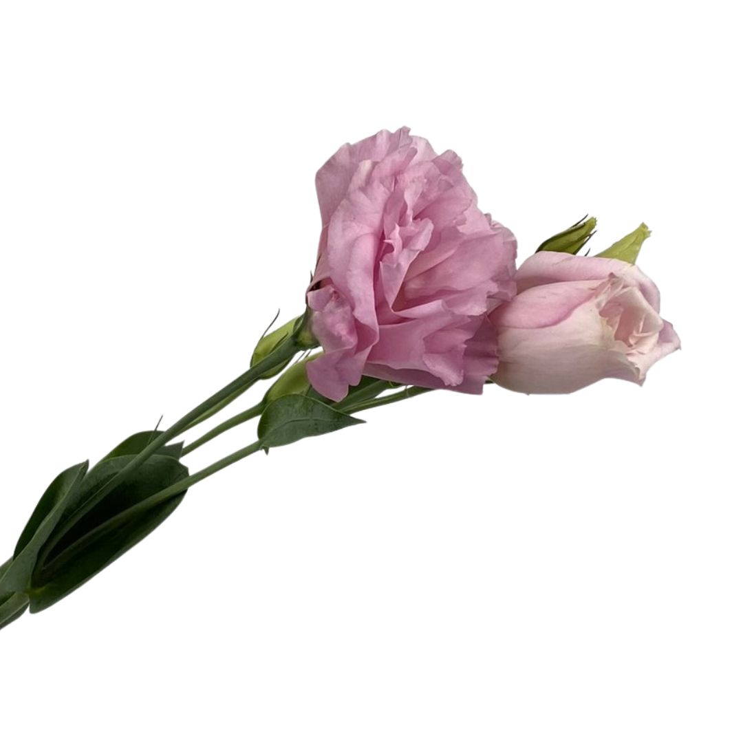 A generic image