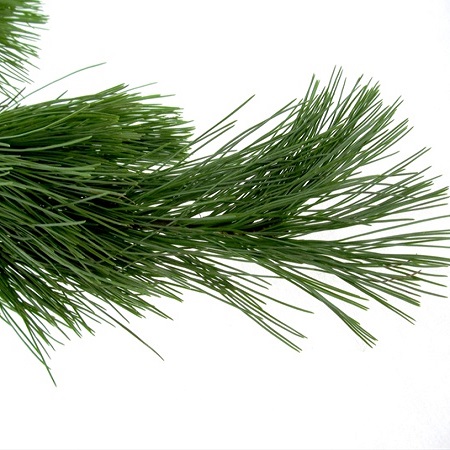 Pine - Princess - 5 Piece Bunch