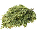 Incense Cedar - 25lb Case