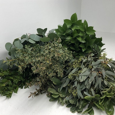 Greens Bundle - 5 bunches of asst greenery