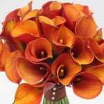 Stunning Calla Bridal Flowers