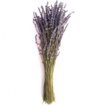 Lavender - English (dried)